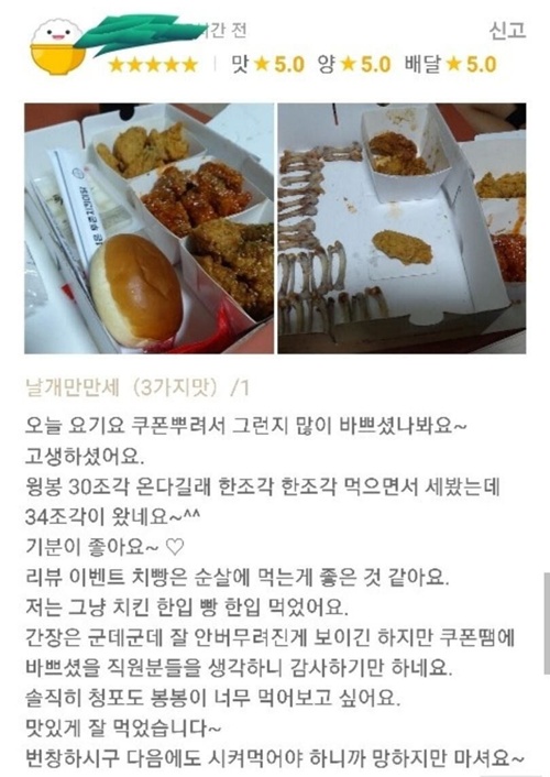 솔직 정직한 리뷰