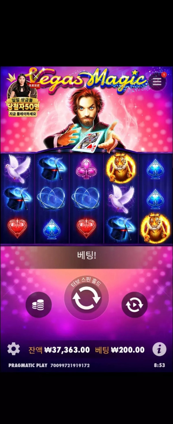고카후기
