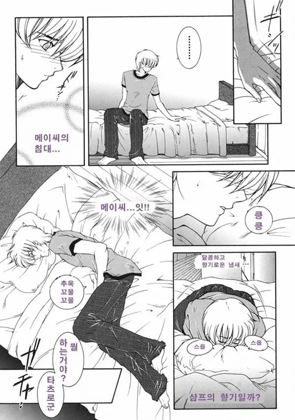 금정천화