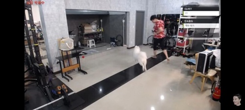 댓글 뭐냐 ㅎㅎㅎ