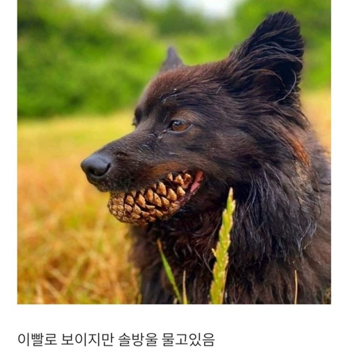 깜쪽같네요~